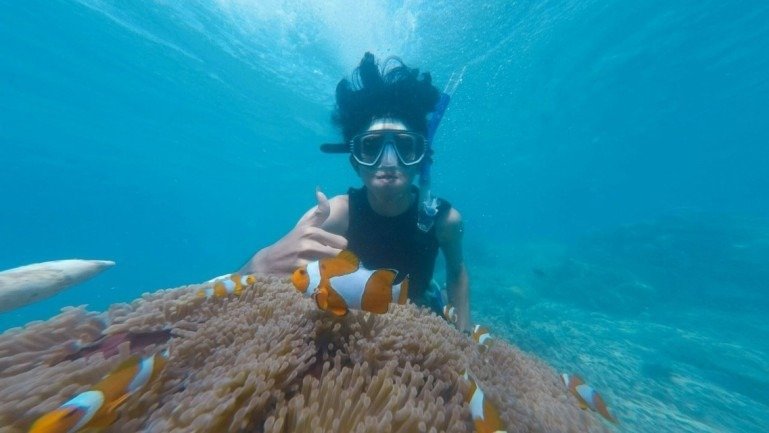 Snorkelling at Elephant Beach