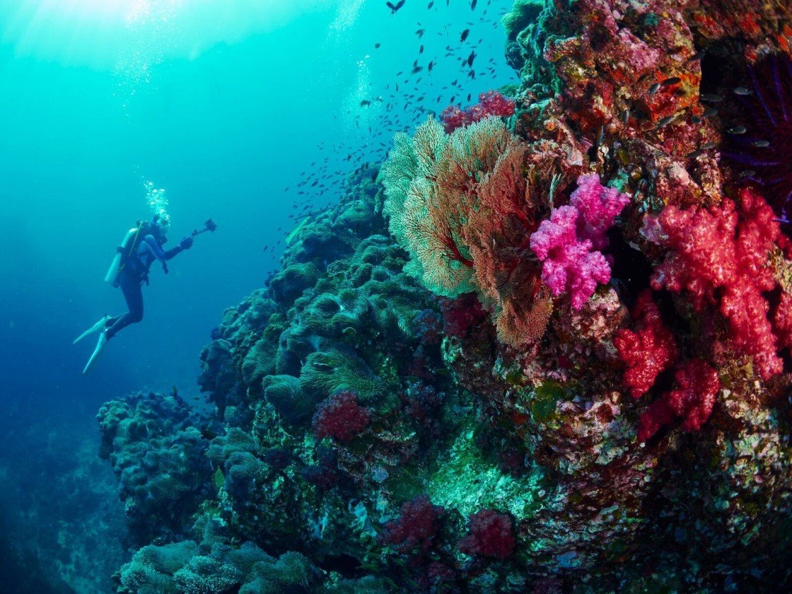 Shore Scuba Diving in Havelock Island