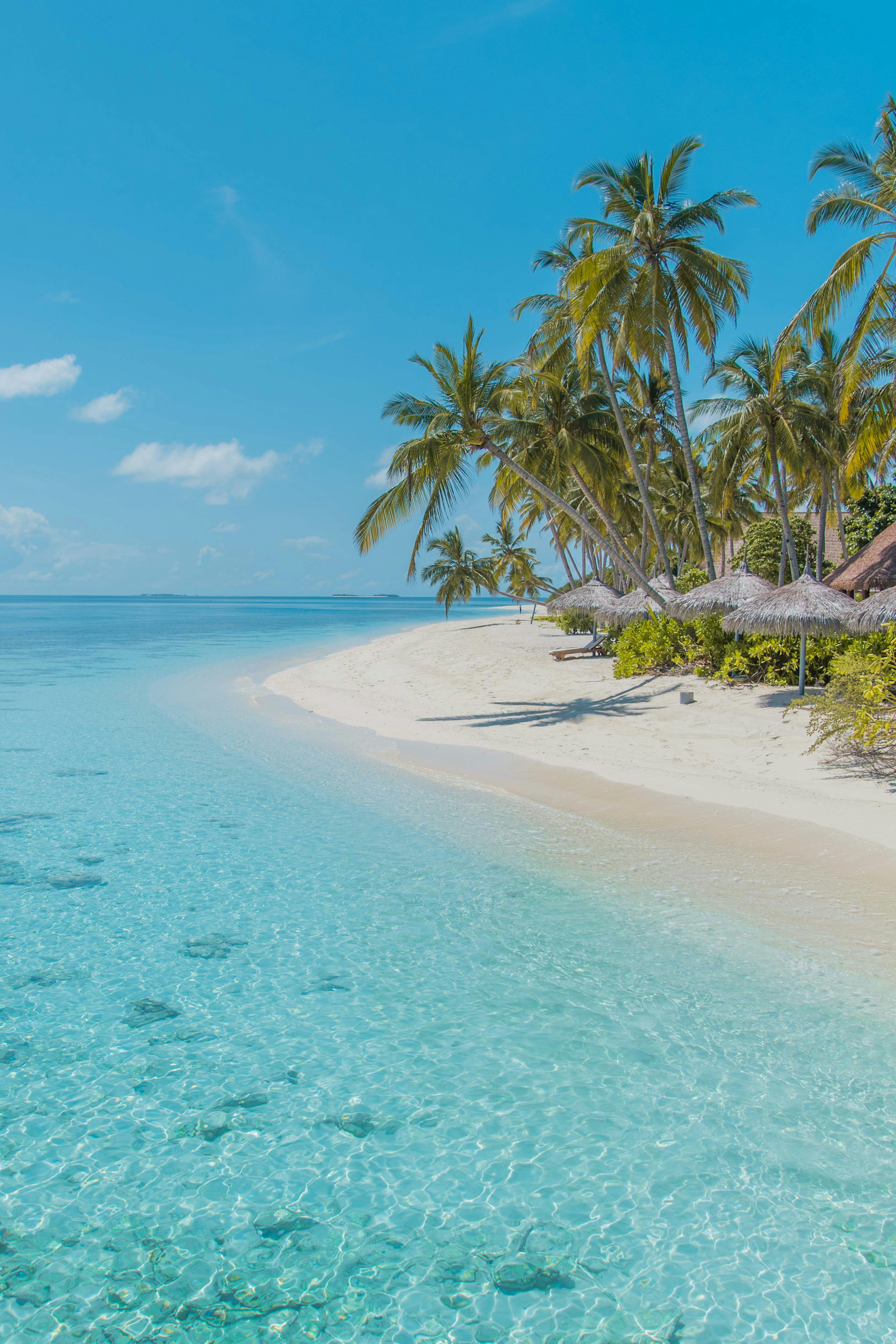 Best Time to Visit Andaman Islands: A Month-by-Month Guide